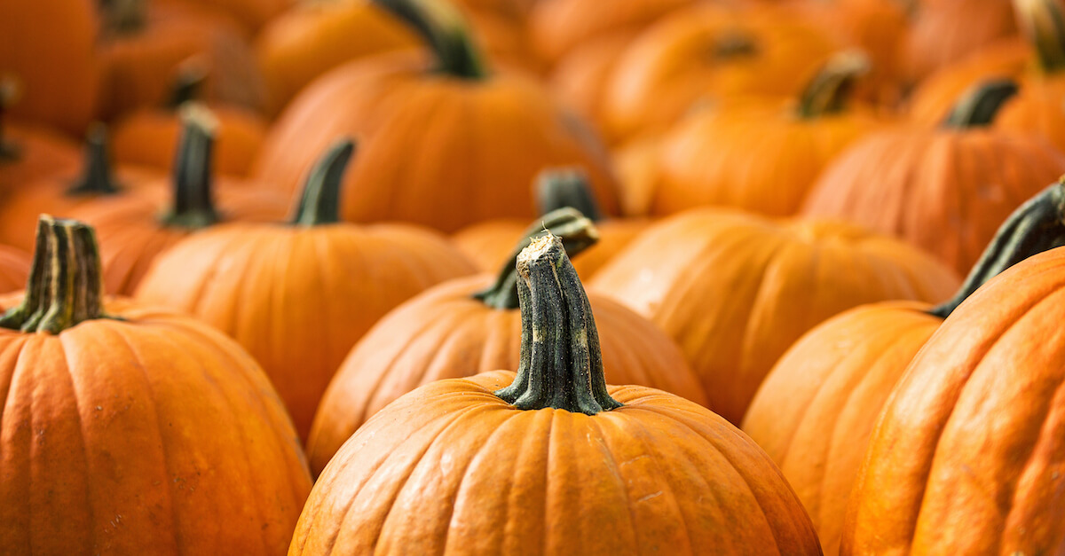 fall and halloween marketing
